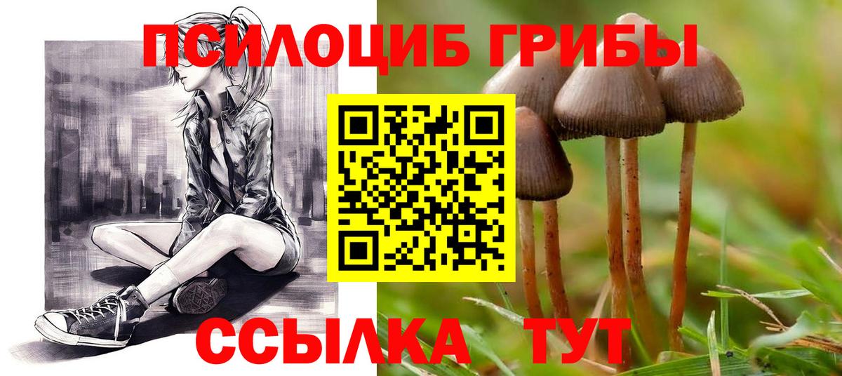 даркнет сайт  Псилоцибиновые грибы мухоморы  Вход с VPN  Лесосибирск 