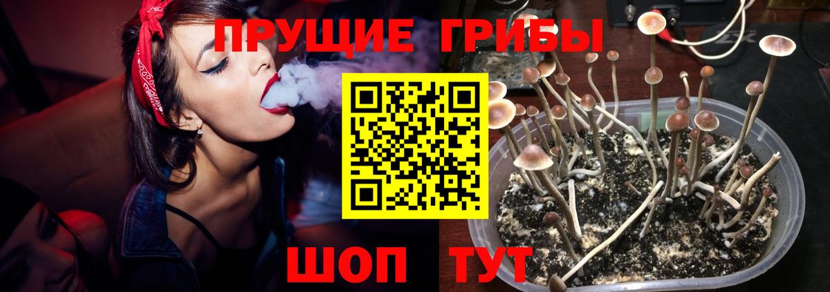 Псилоцибиновые грибы MAGIC MUSHROOMS Лесосибирск